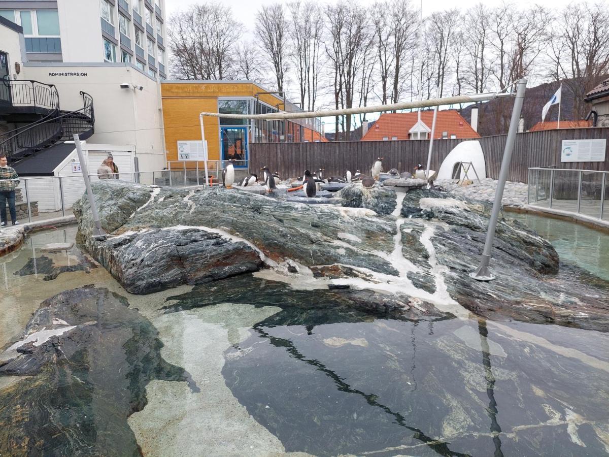 Appartement Center Bergen